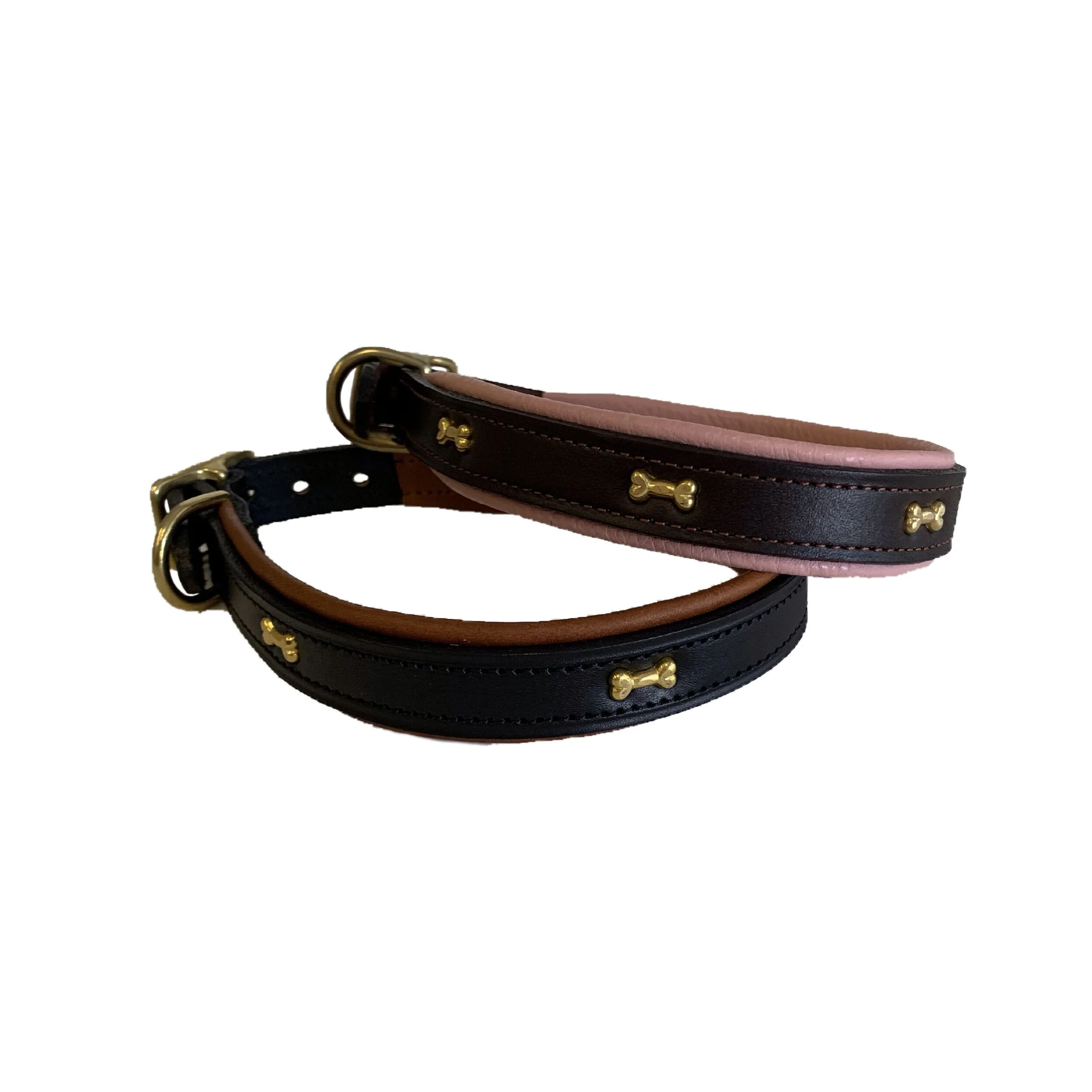 dog collar with bones