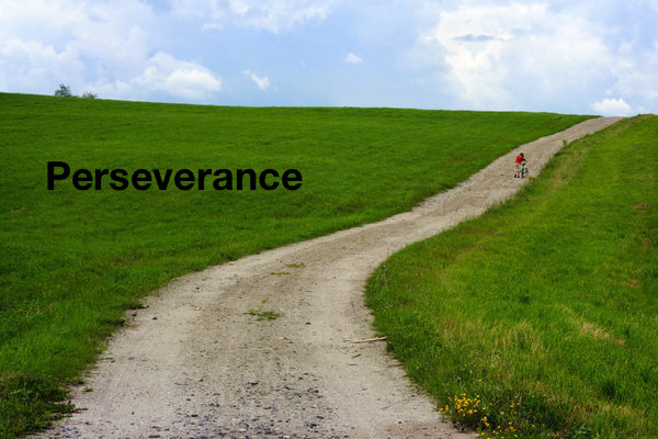 Perseverance.jpeg