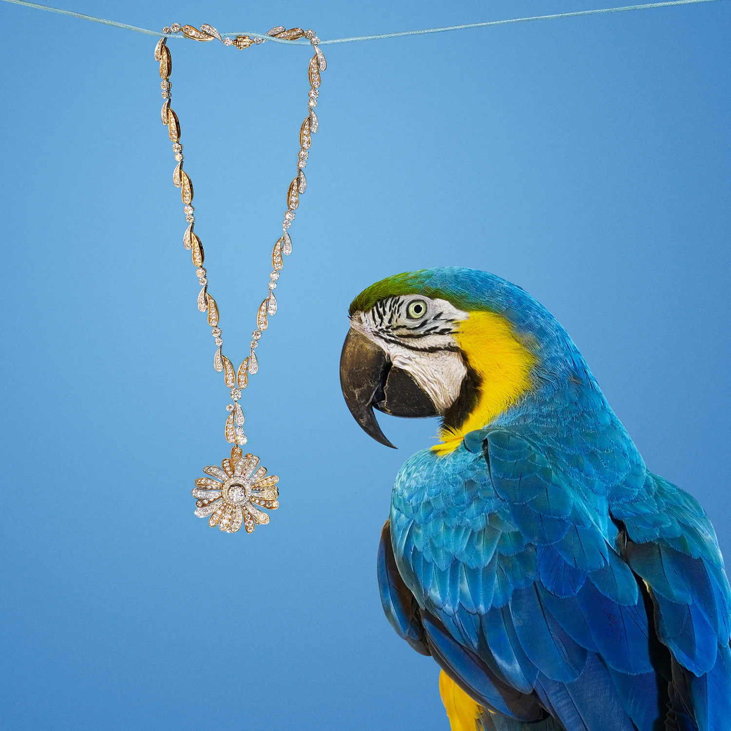 15. Let it hang out-3.jpg