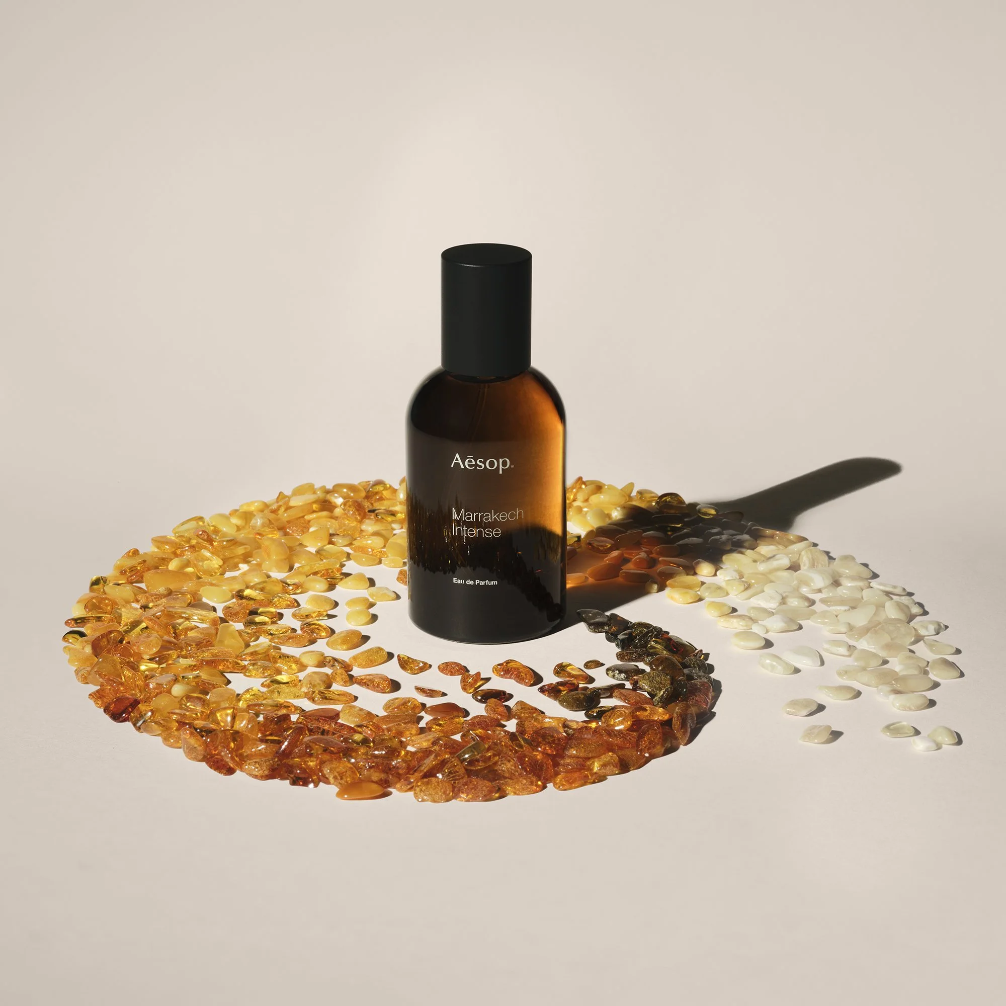 Hausten_Aesop_1small.jpg