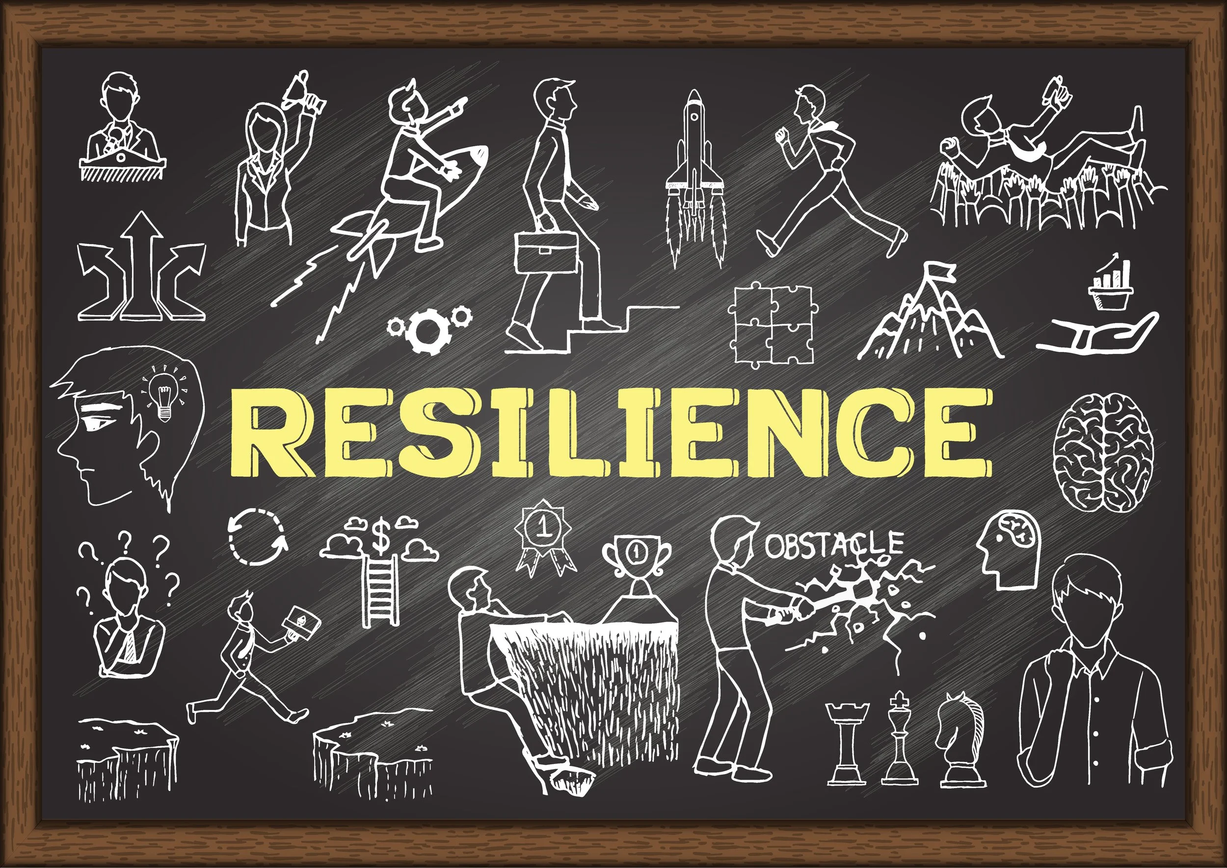 What is emotional resilience?