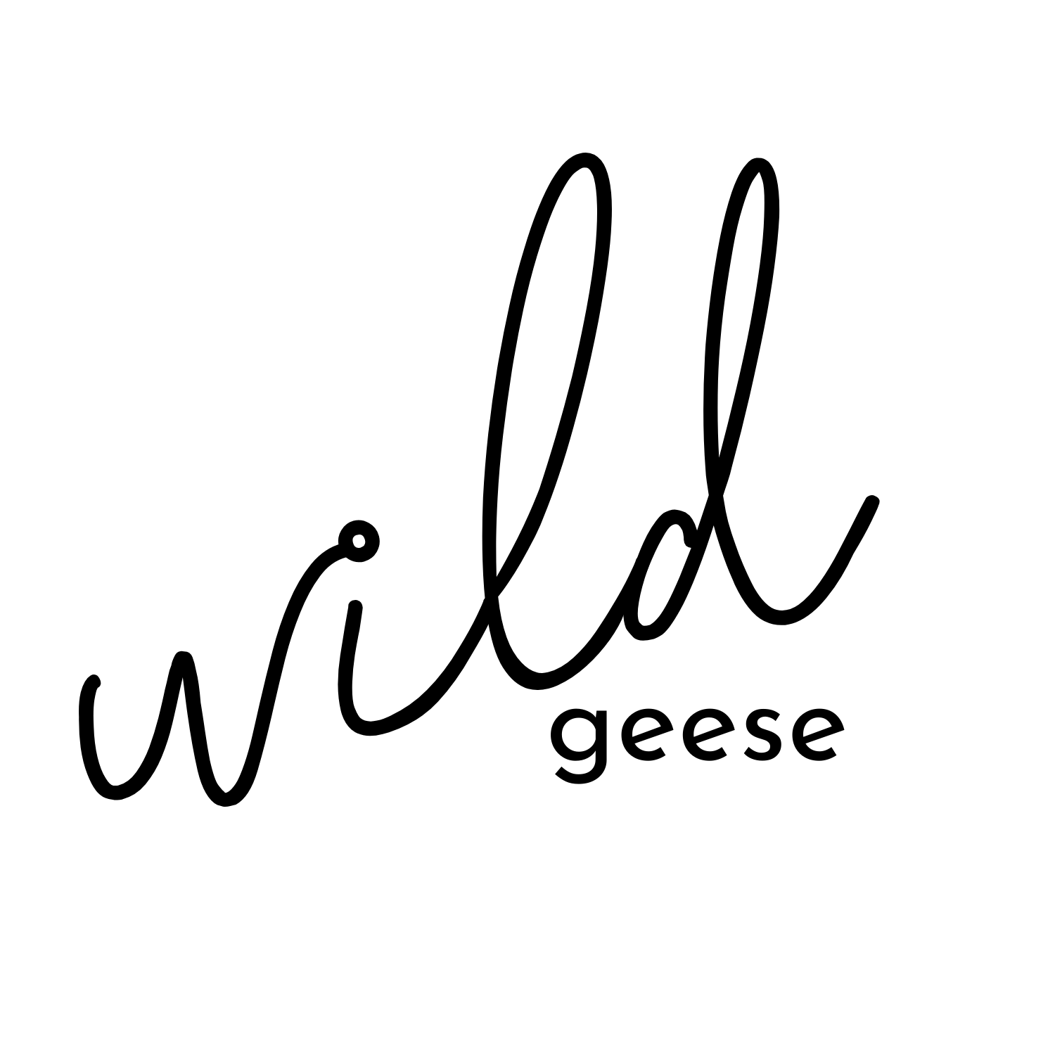 wildgeeselogo.png