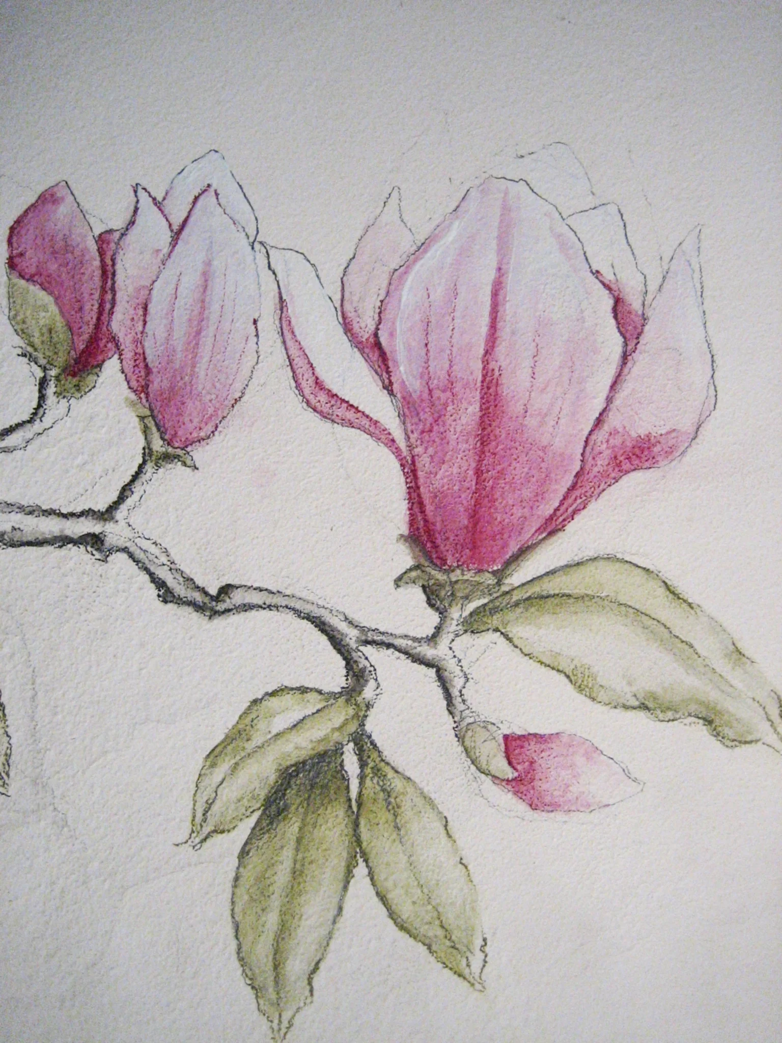 2008-04-05 18-20-58.jpg