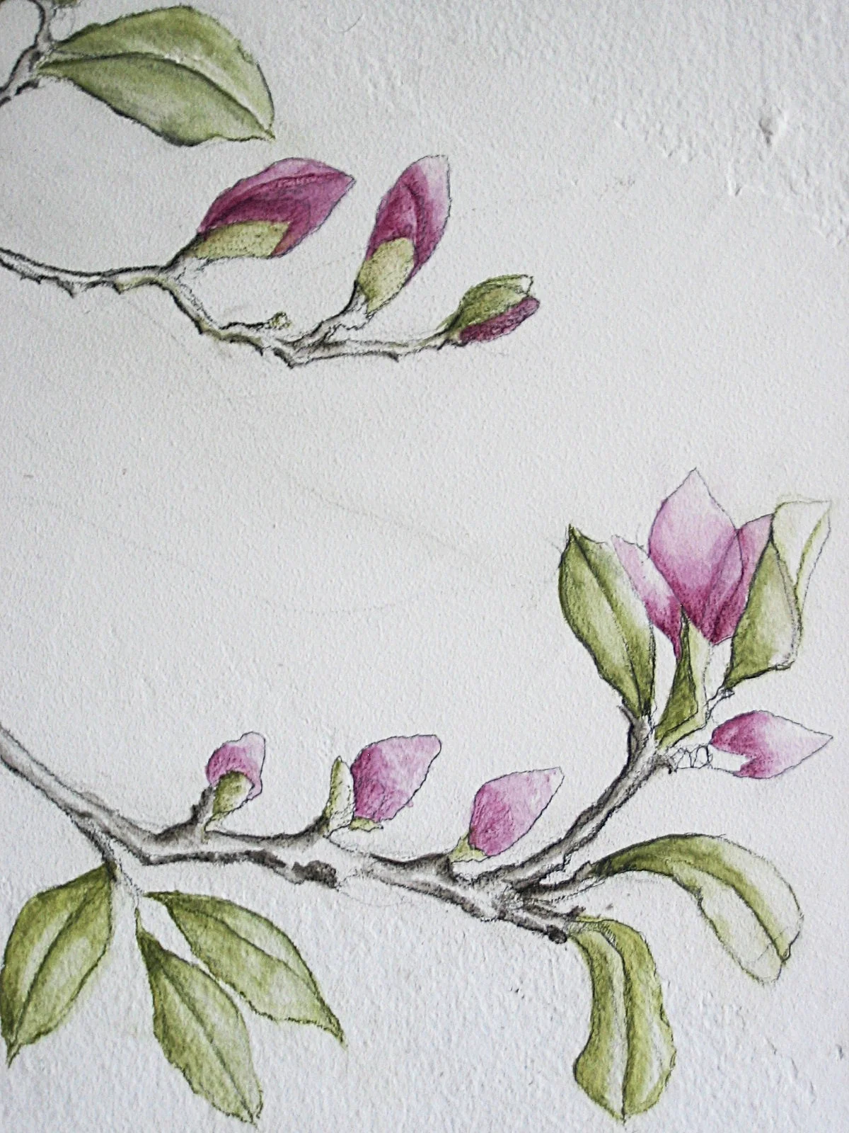 2008-07-23 12-33-00.jpg