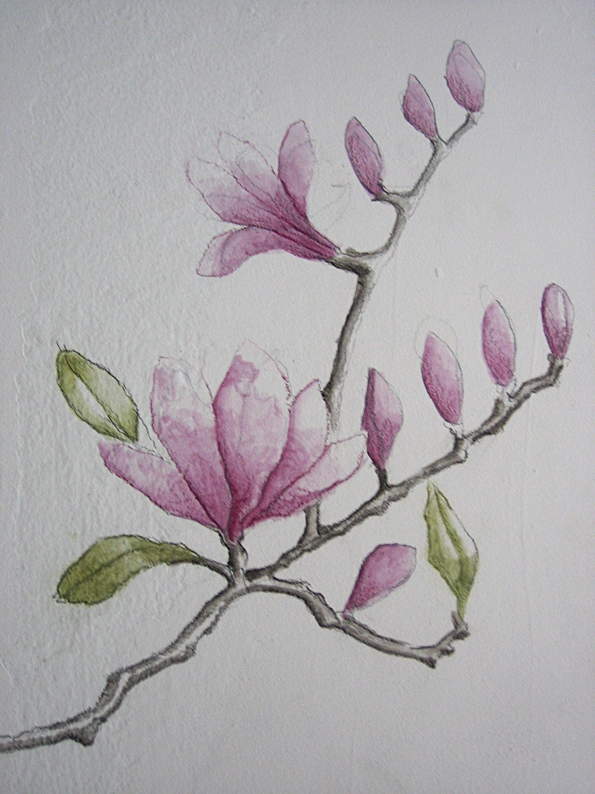 2008-05-07 17-16-35.jpg