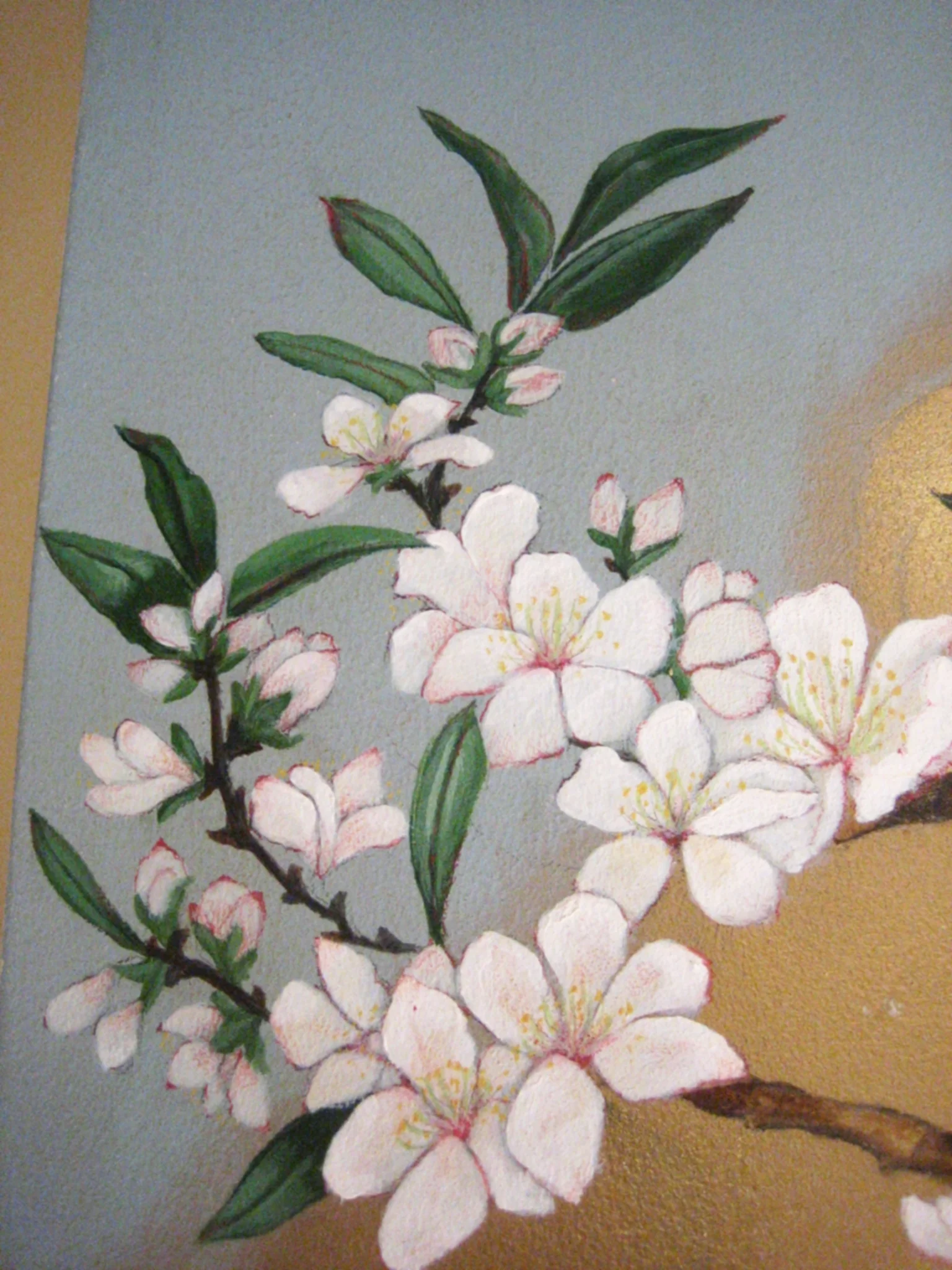 2007-12-12 12-40-01.jpg