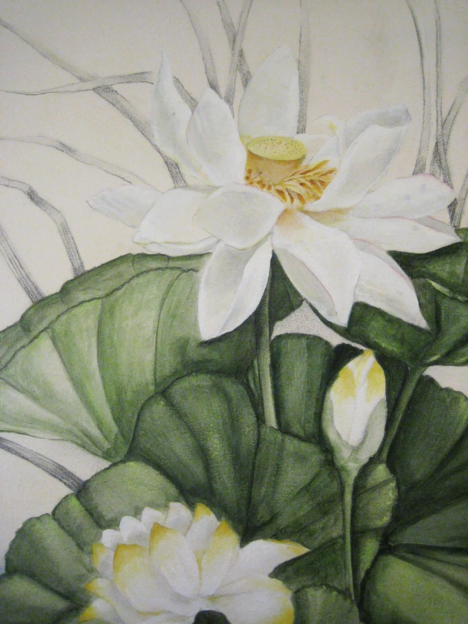 2007-12-12 12-32-26.jpg