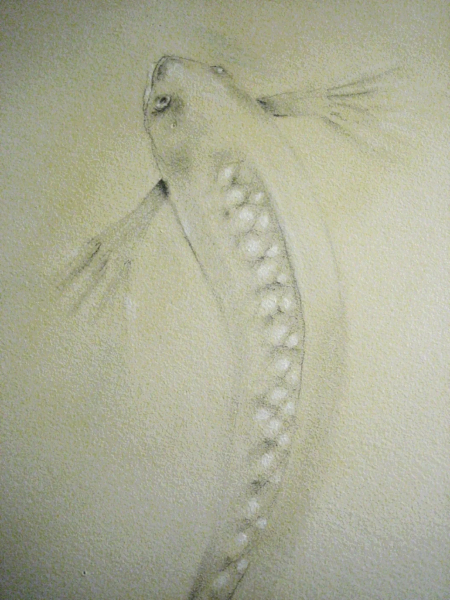 2008-07-23 12-30-29.jpg