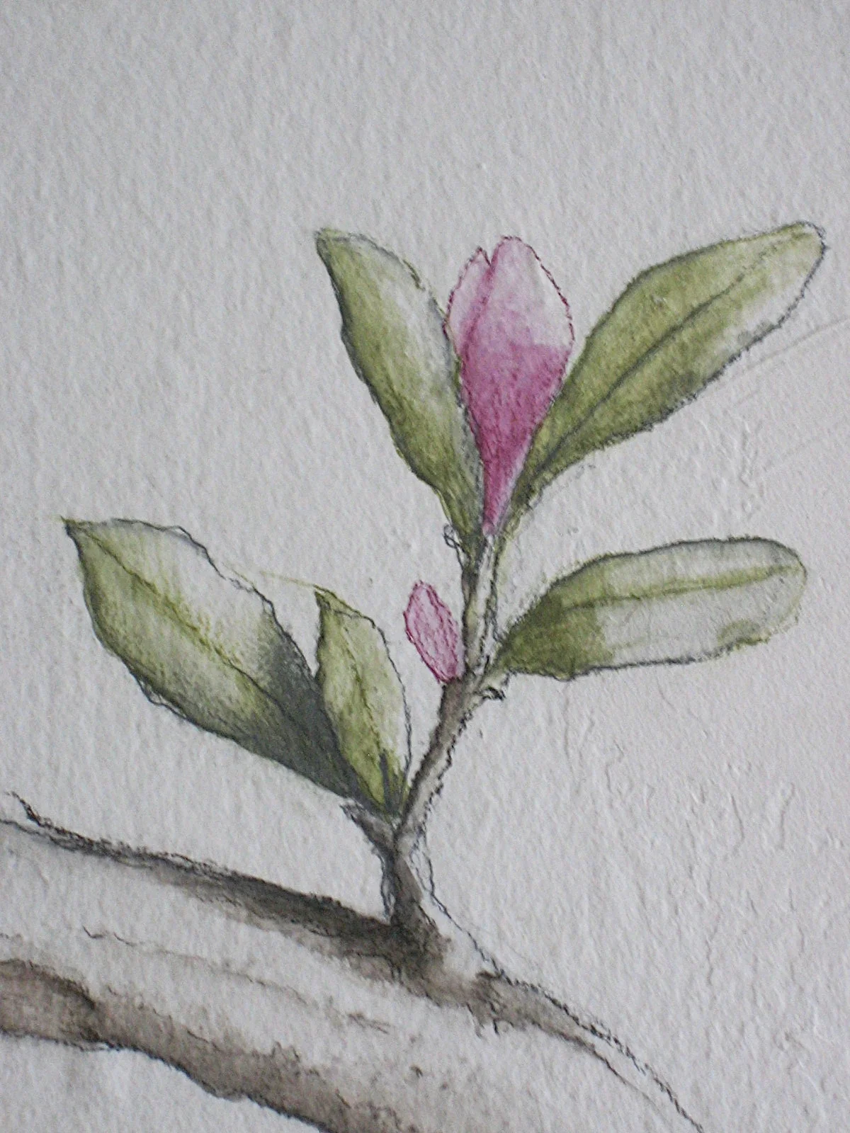 2008-05-07 17-10-11.jpg