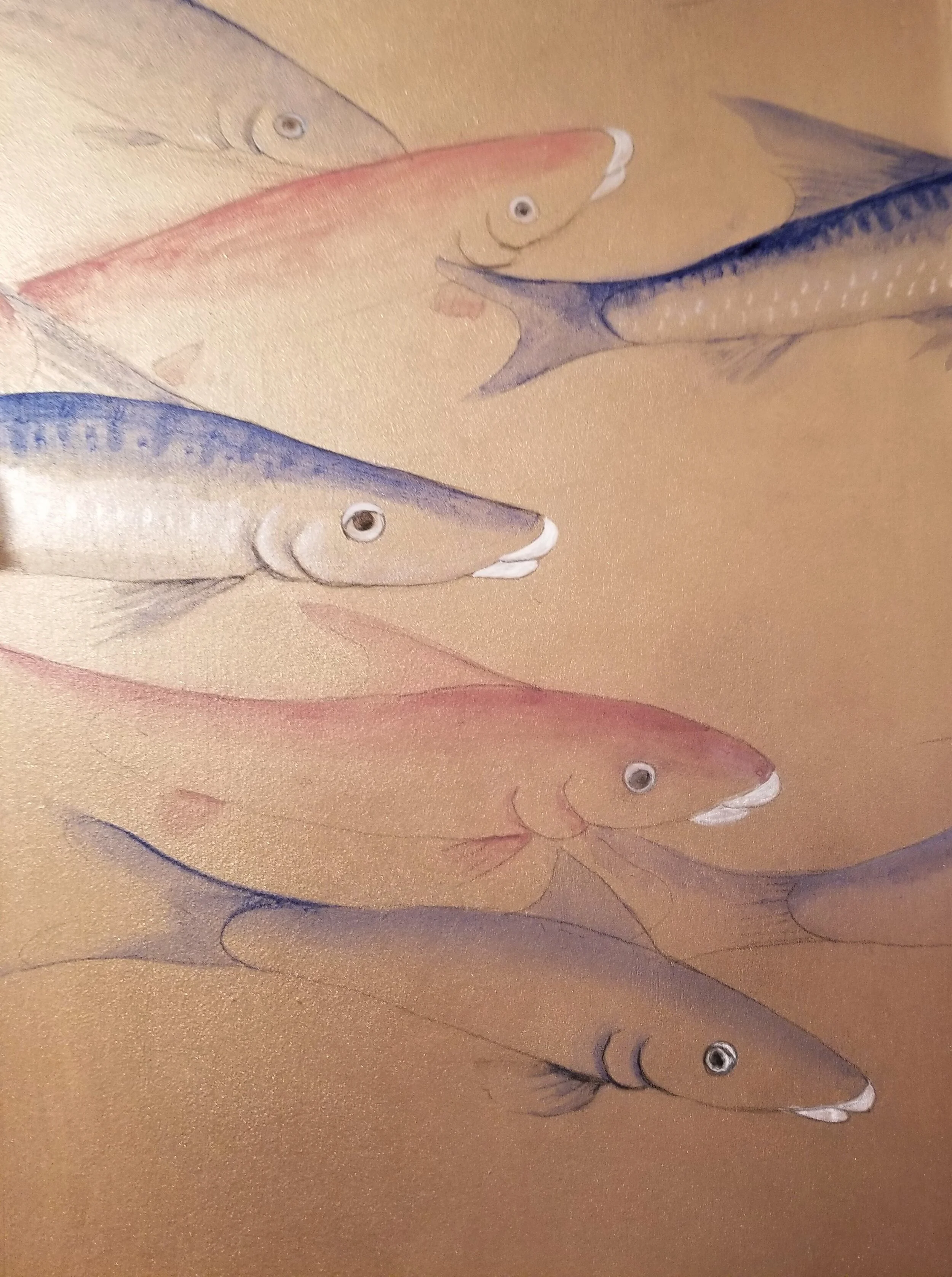 Elizabeth Cady Stanton House Carp Fishes  Powder Room 1.jpg