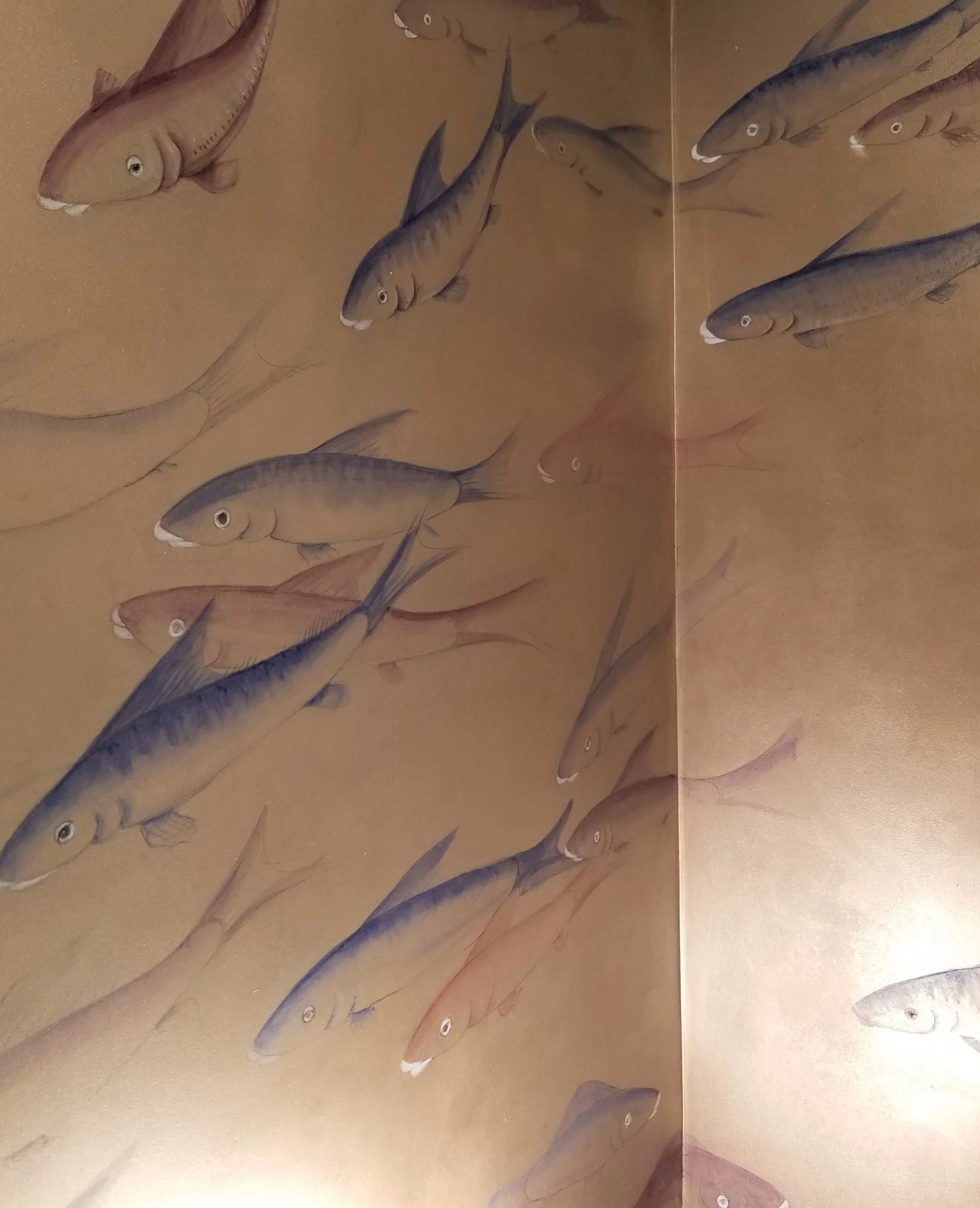 Elizabeth Cady Stanton House Carp Fishes Powder Room 3.jpg