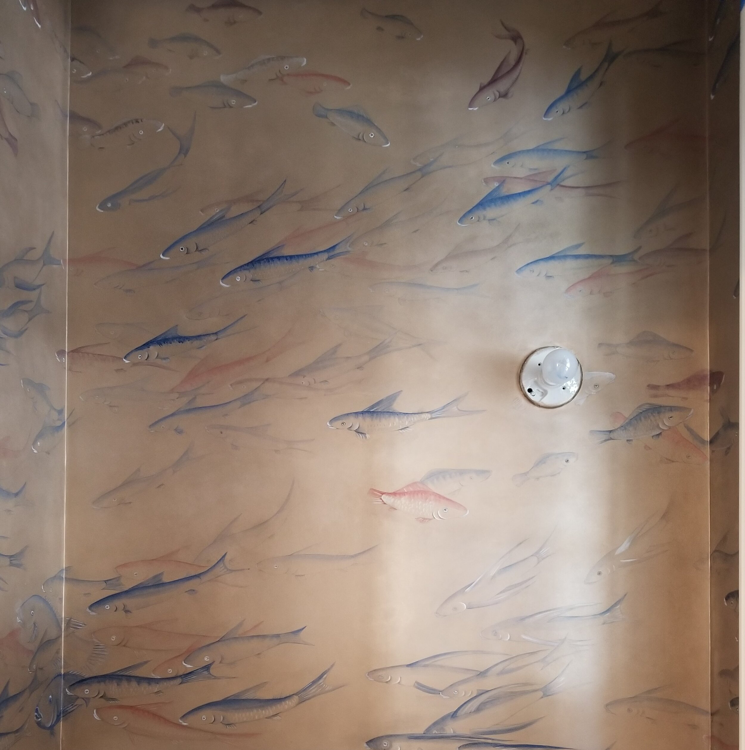 Elizabeth Cady Stanton House Carp Fishes Powder Room 11.jpg