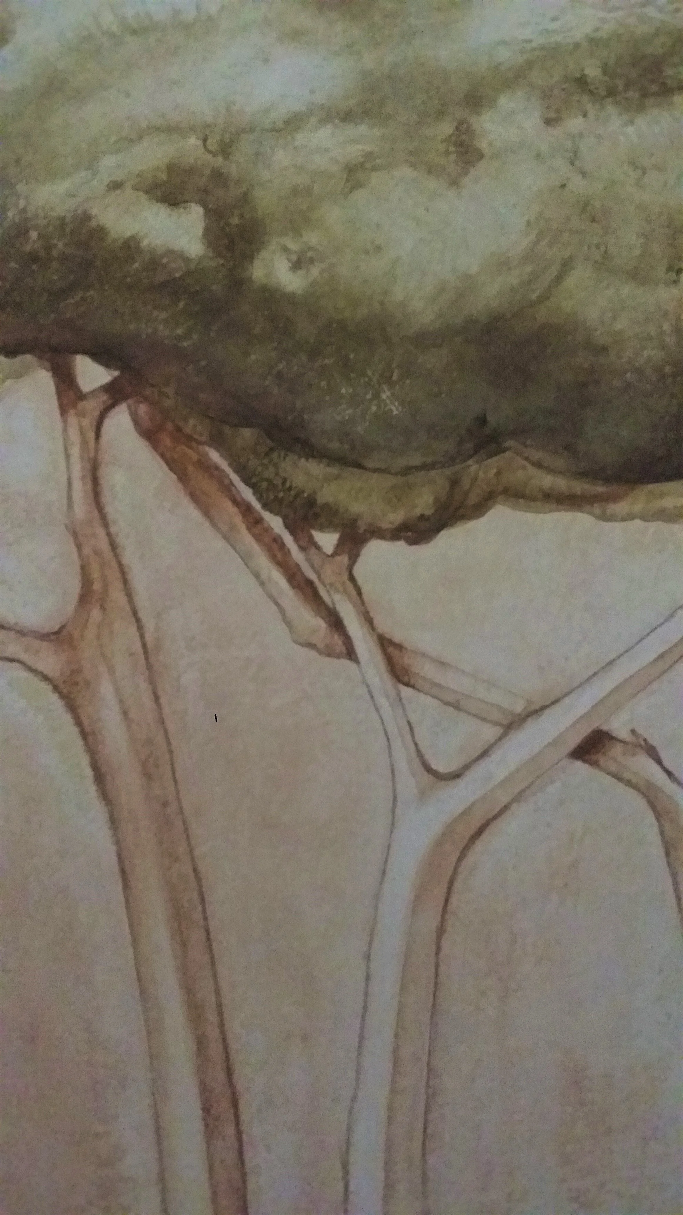 Cetinale Casa Marina Bedroom11 .jpg