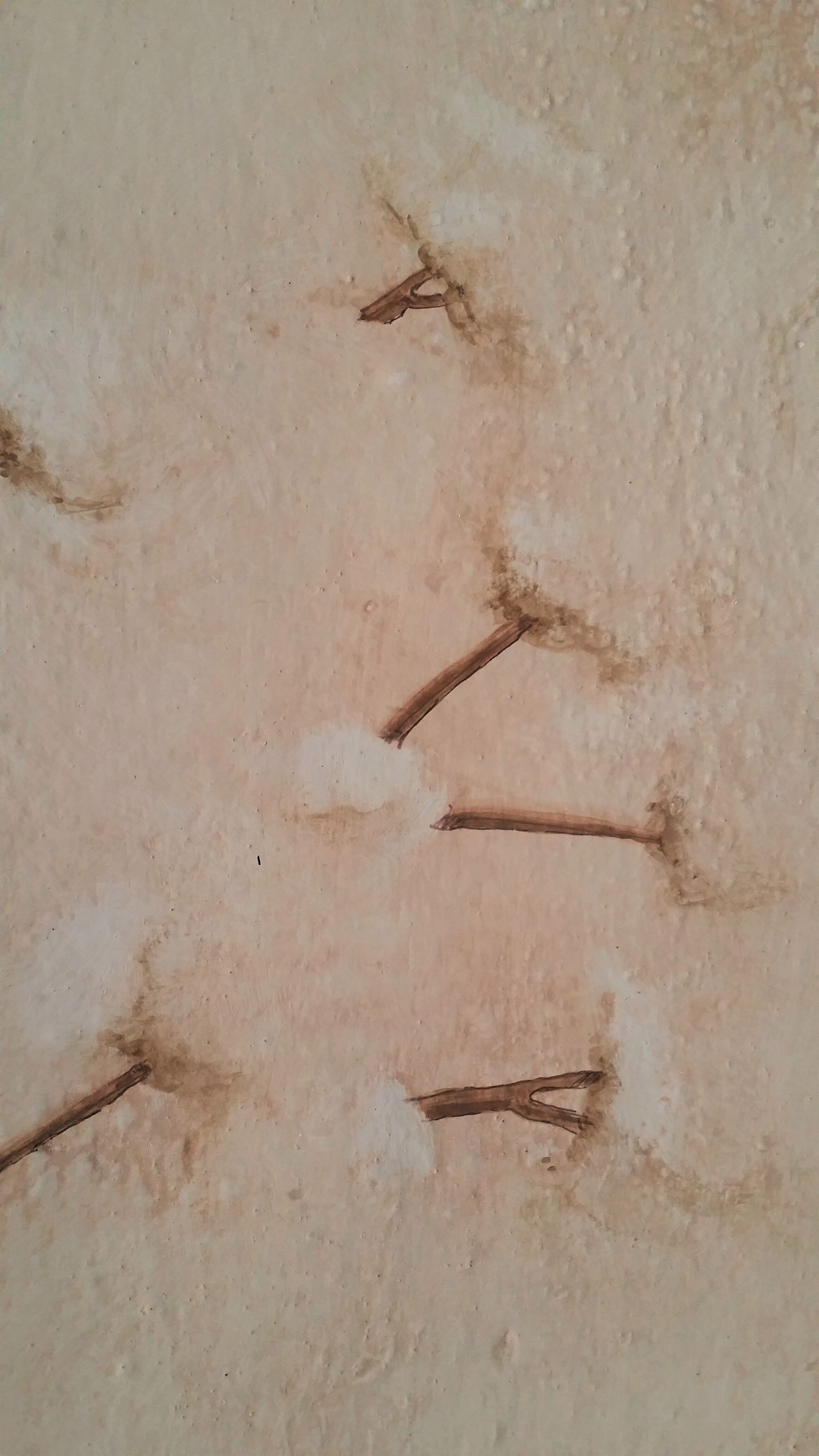 Cetinale Casa Marina Bedroom21.jpg