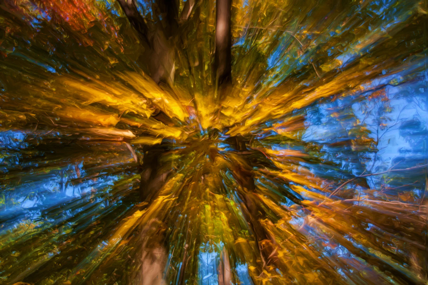 CONTINUUM by Clayton Spangler