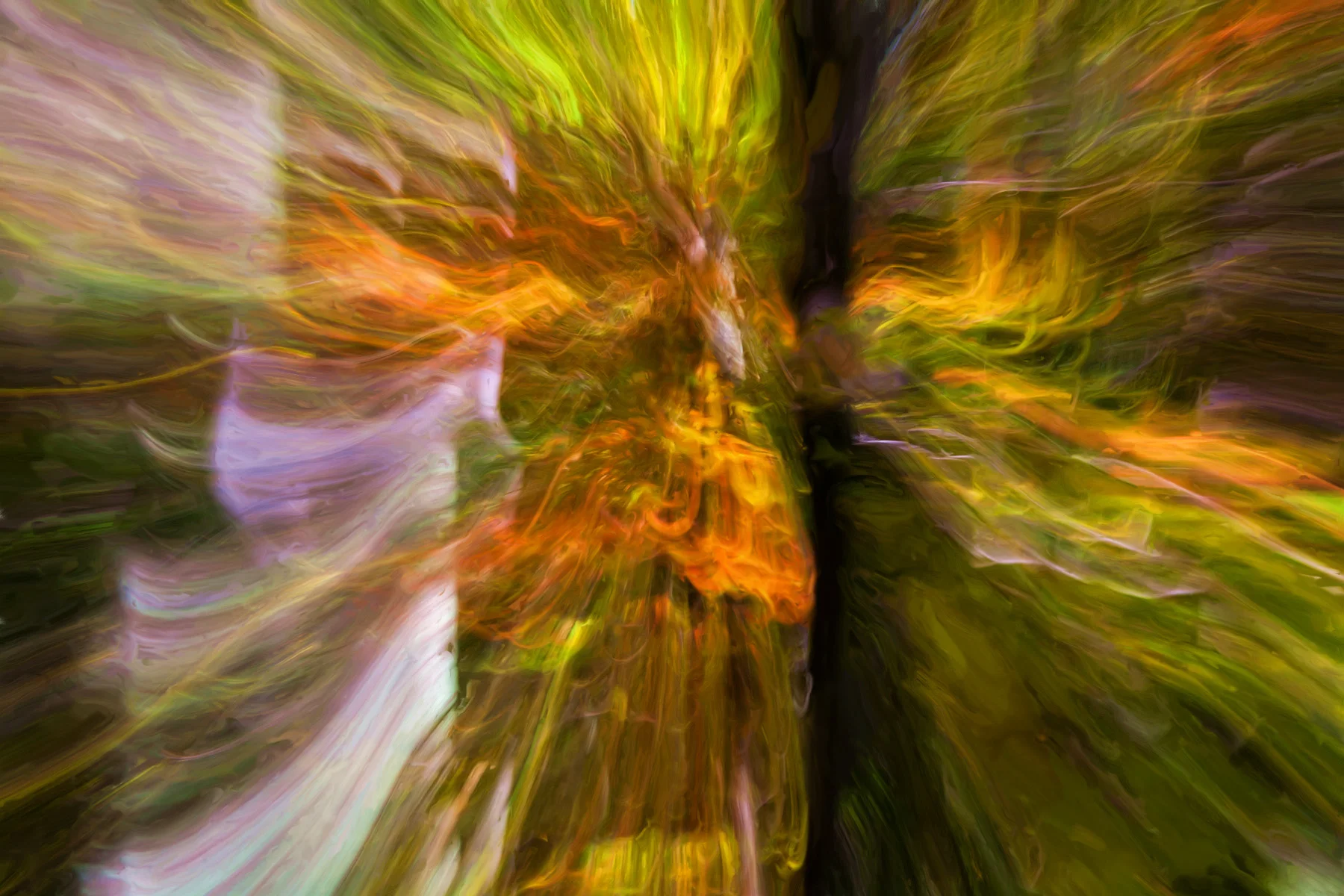 FALL FROM GRACE BY Clayton Spangler