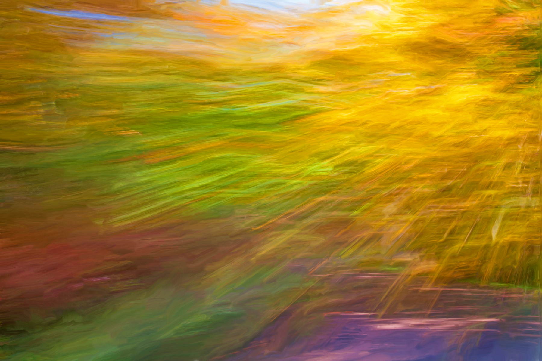 MORNING REVERIE by Clayton Spangler