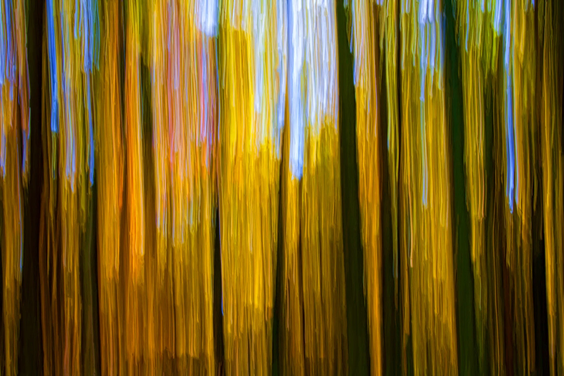 REACH by Clayton SPangler