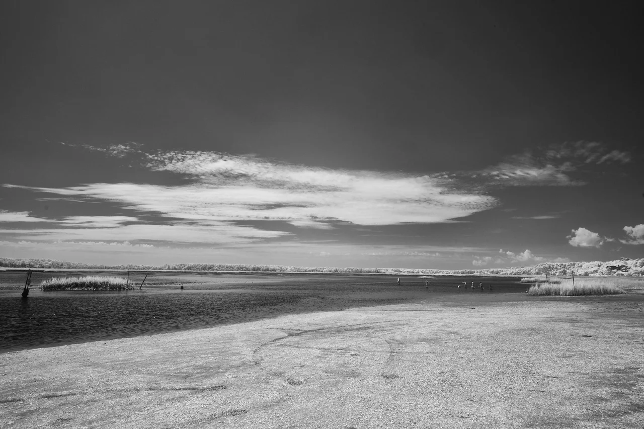 Shell Island.jpg