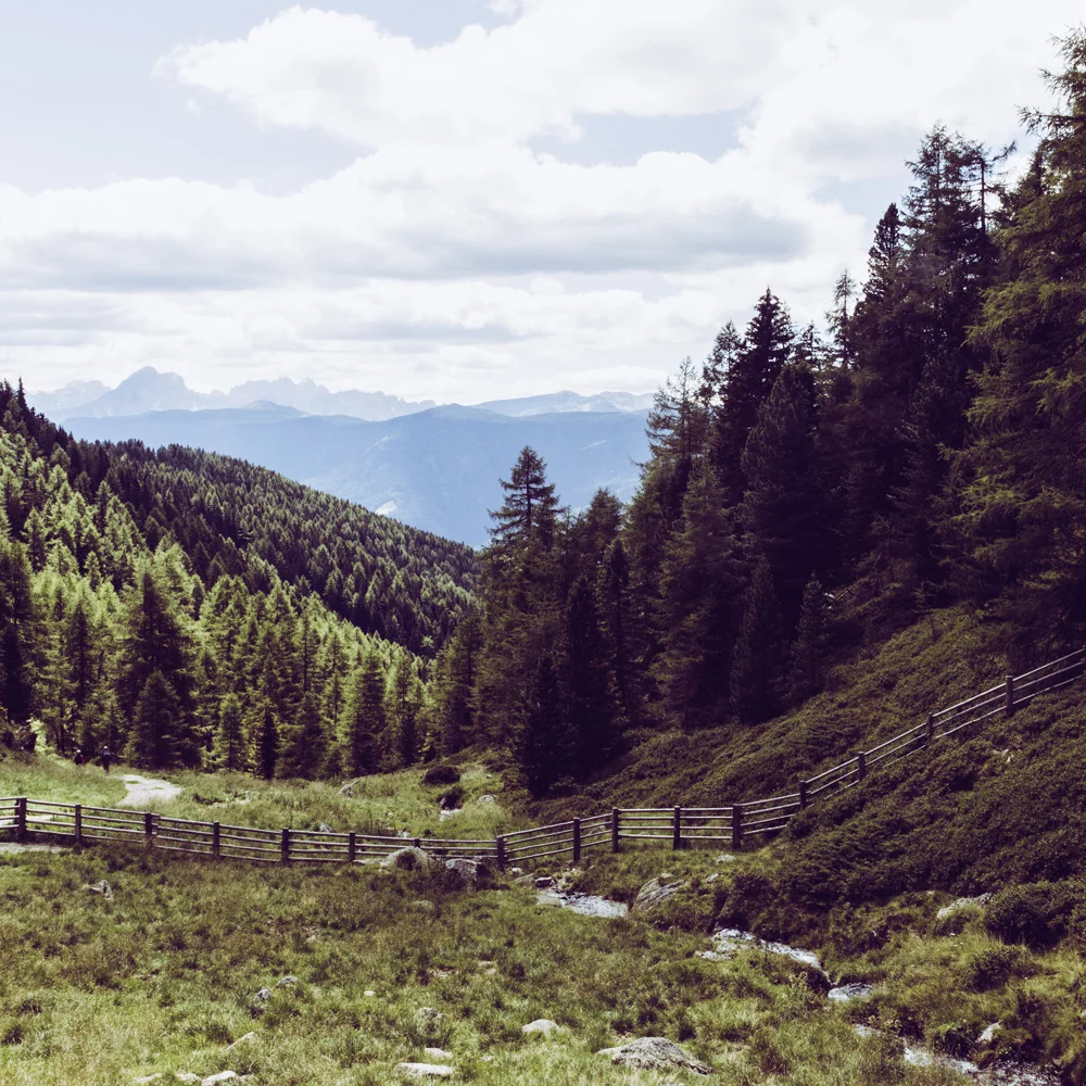 Paving the Way to Peace {Part 2}