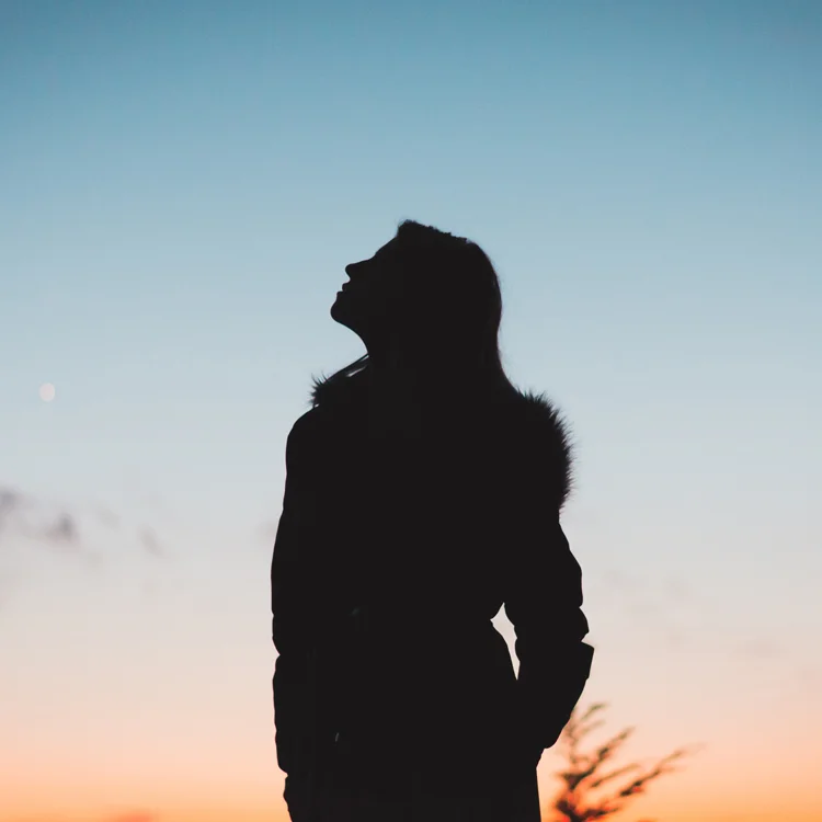 Look Up