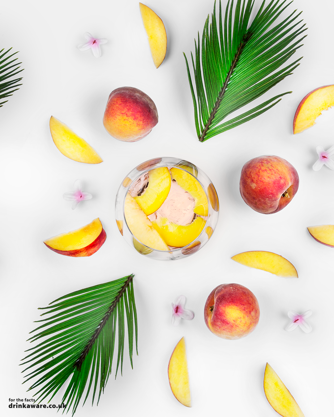 935-Gallo-Spritz-2018-Flat-Lays-PN-GLASS.png