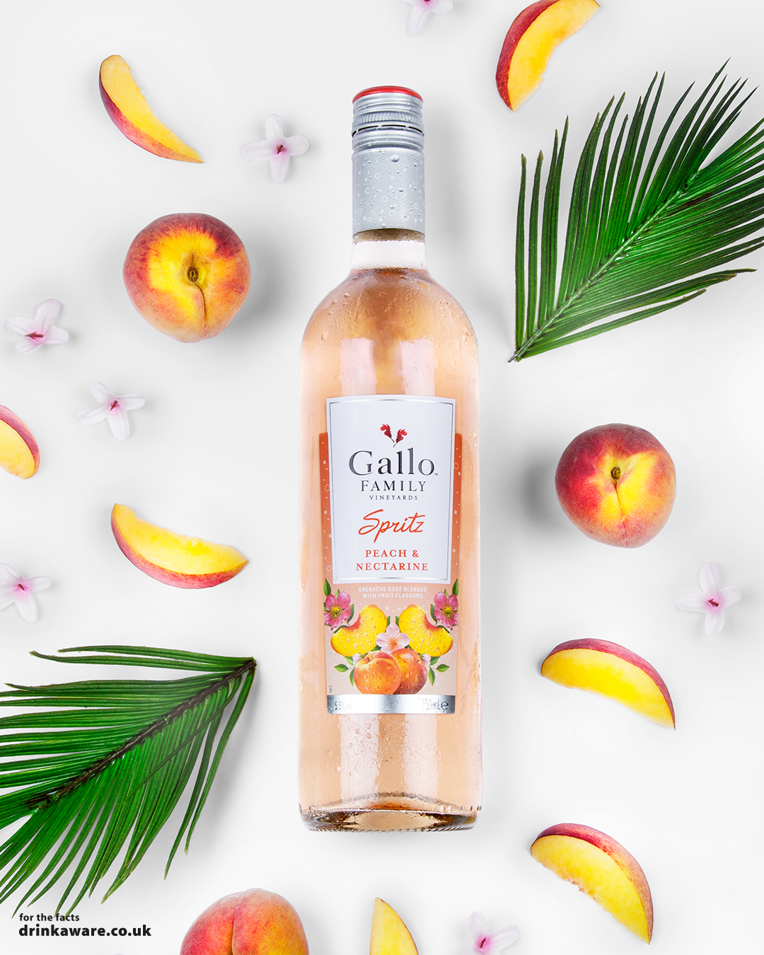 935-Gallo-Spritz-2018-Flat-Lays-PN-BOTTLE.png