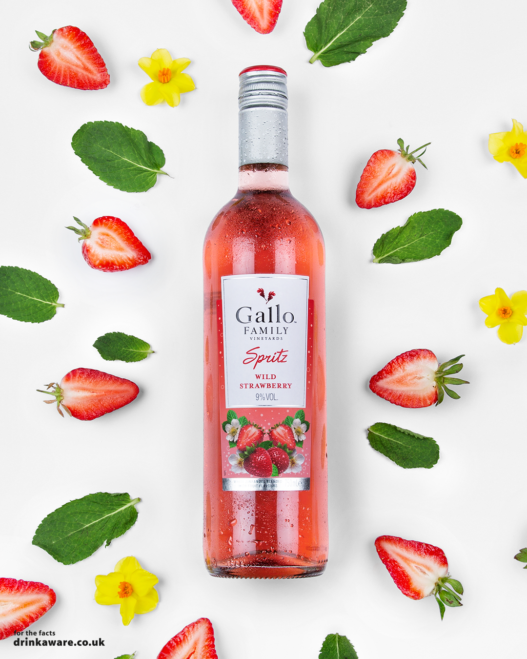 935-Gallo-Spritz-2018-Flat-Lays-WS-Bottle.png