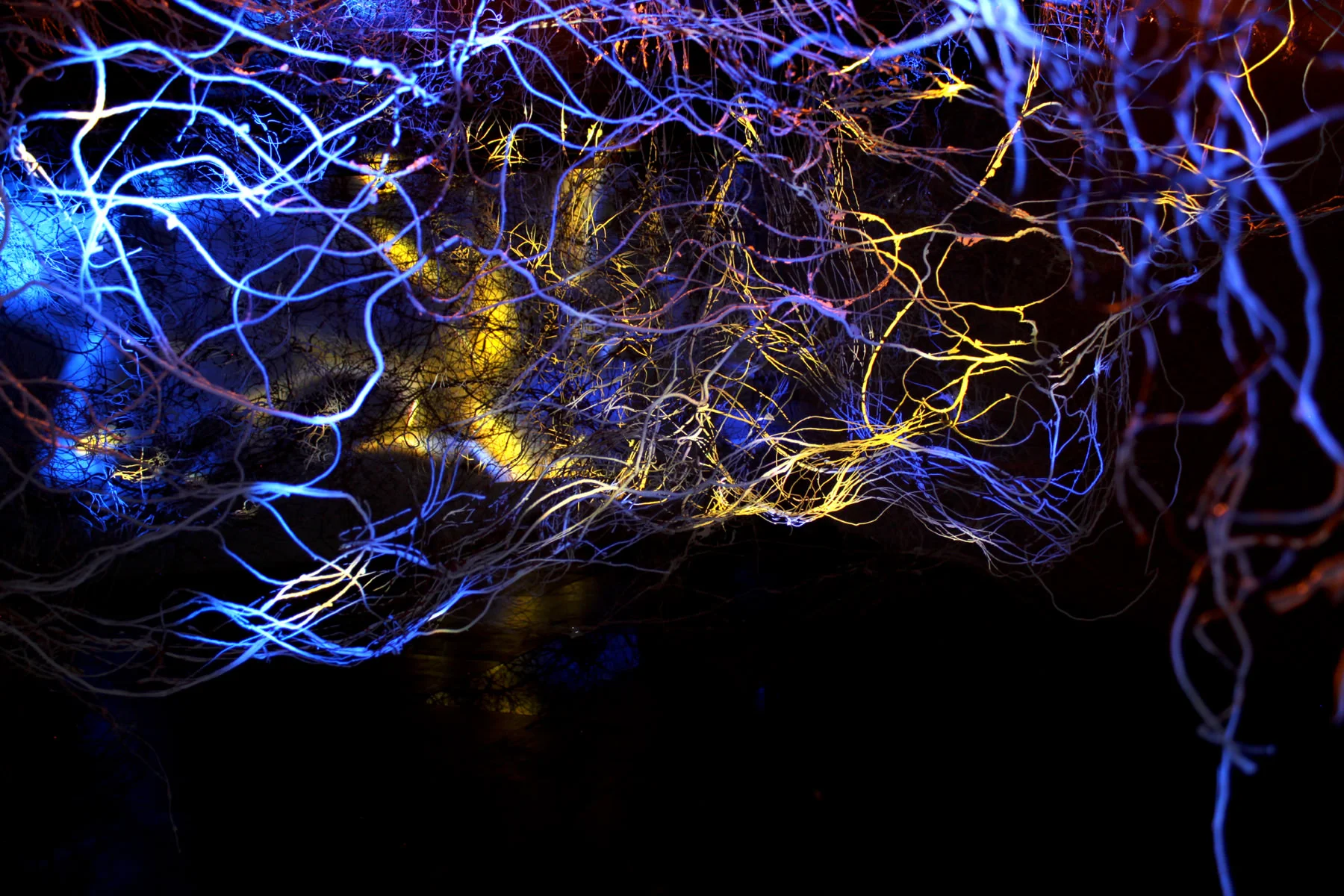 Claudia Bueno Claudia is internationally recognized for her distinctive use of technology as the media that animates her work, as well as the intricacy of her compositions and a spatial sense of immersion. Lights, motors, circuits, sound, wind, and video charge her pieces with the life and movement that characterizes her creative language. Detailed drawings, meticulous cutouts, and elaborate structures leave evidence of the intimate engagement between the artist and her work.