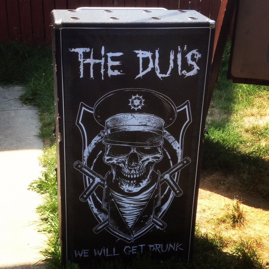 Ampeg 810 Custom Grill Cloth | The DUIs