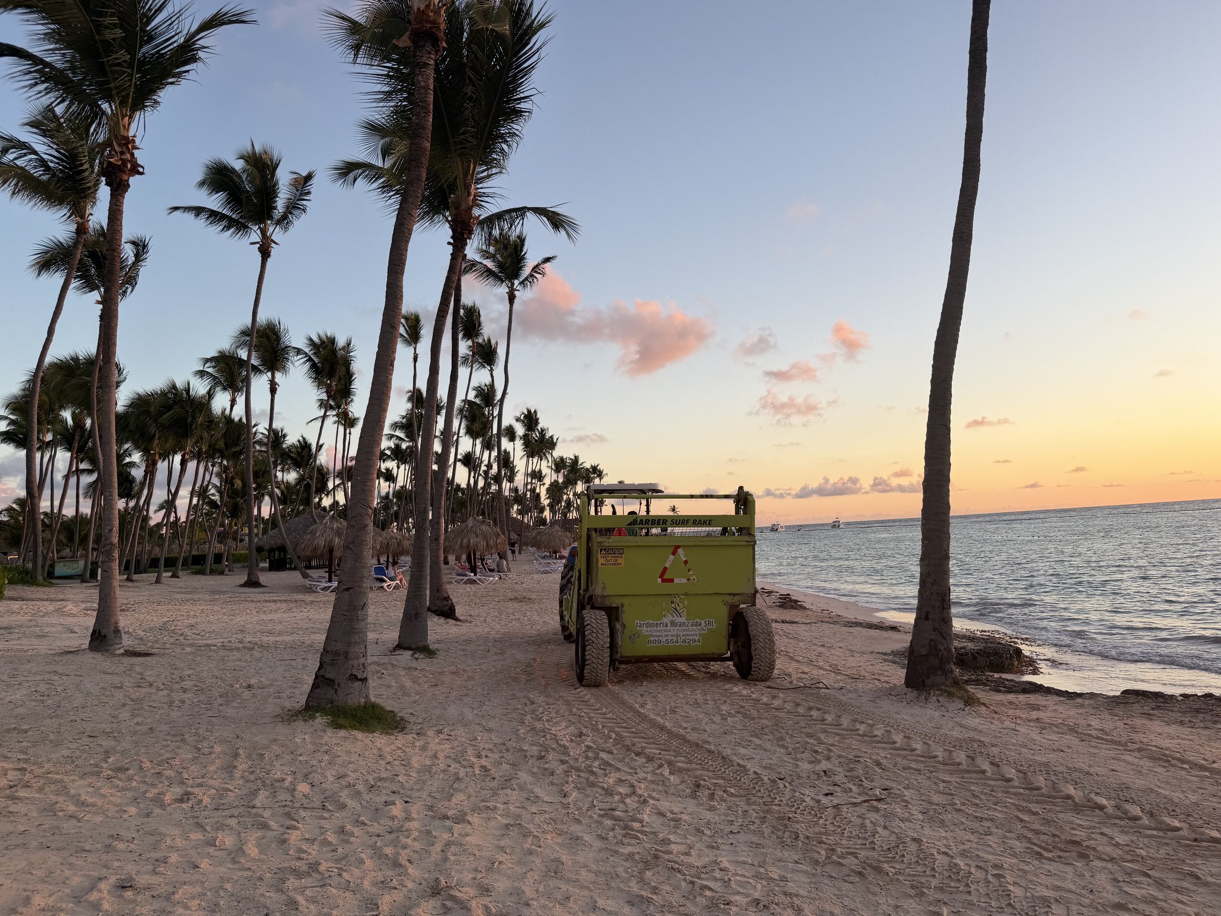 Letter to my Children: Day Drinking, The Overstory, Self Judgement