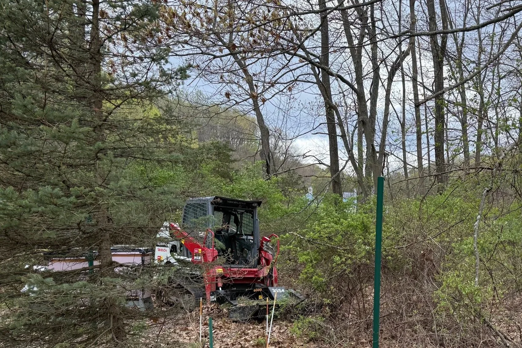 Homesteading Middles/Letter to My Children: Invasives and Heavy Machinery Learnings