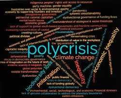 Rob Wergin's Tool for Navigating the Polycrisis