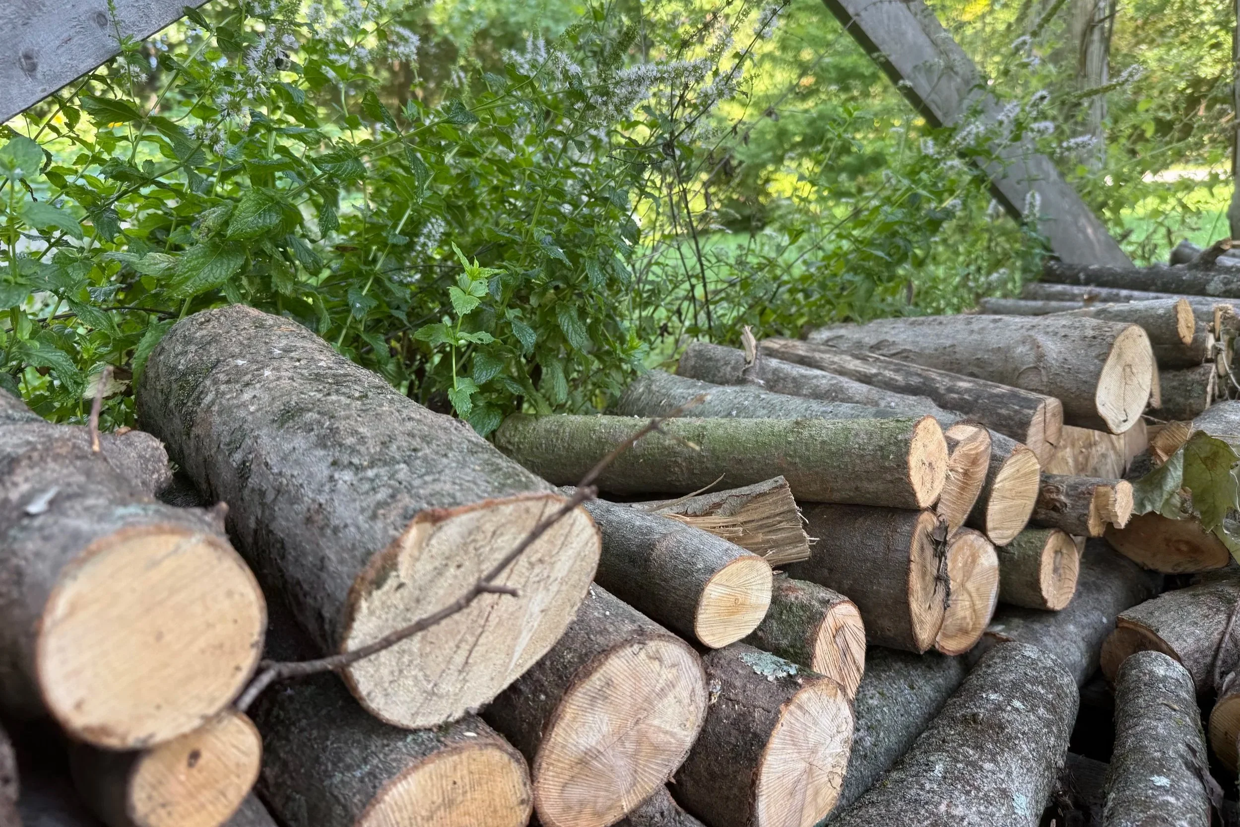 Stewarding Stories: Stacking Wood Samadhi