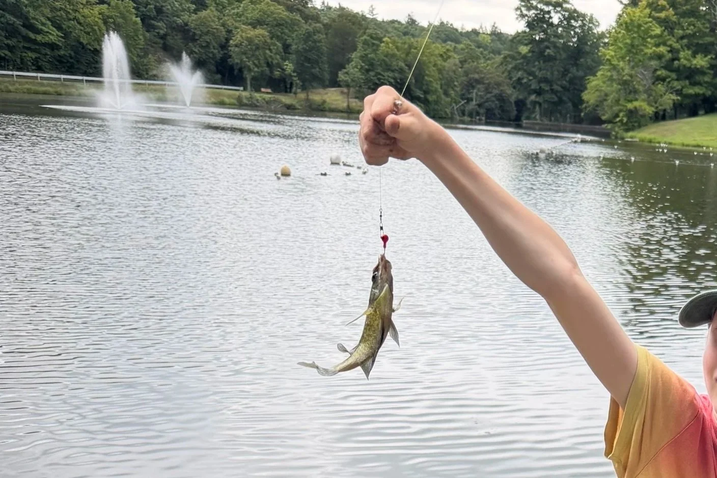 Letter to My Children: Reharmonizing and Fishing