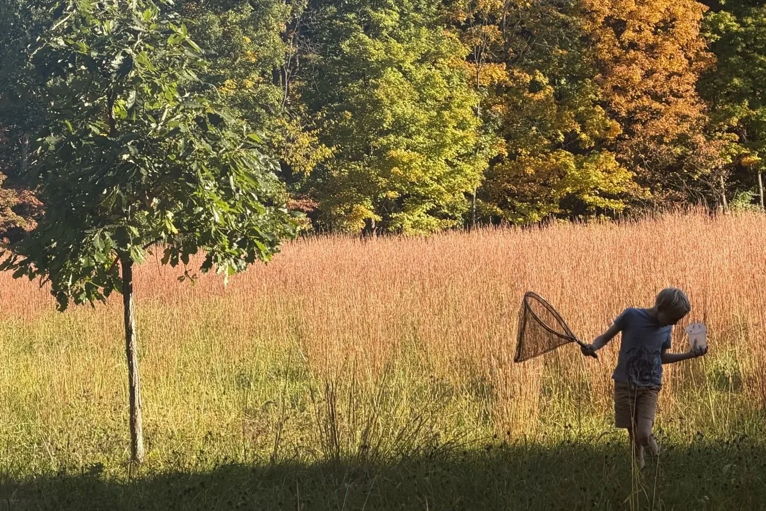 Letter to My Children: Hunger, Homework, and a Story