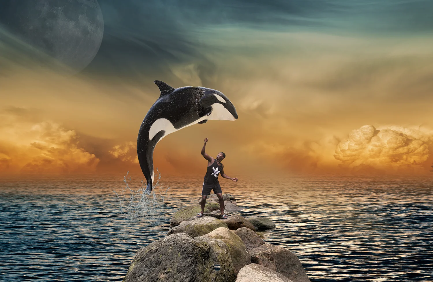 Free Willy 2017