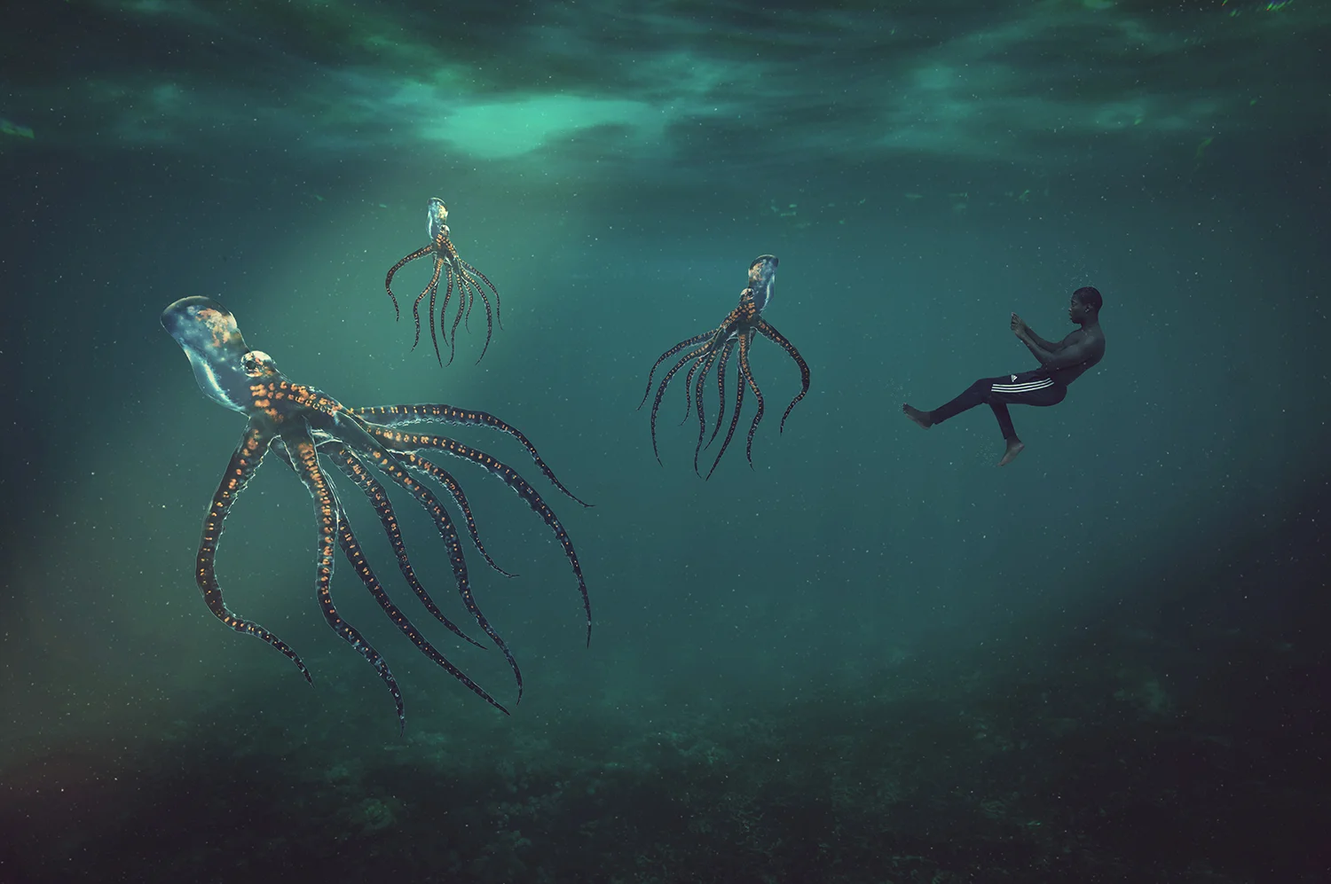 Under the Sea