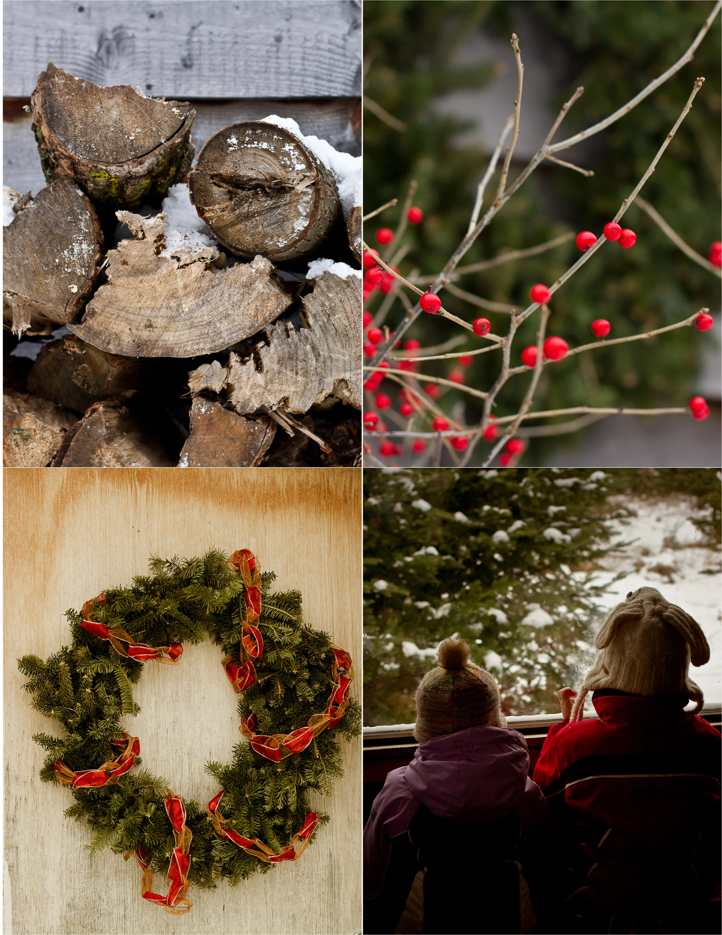 quinnfarm.treeday.Dec.1.jpg