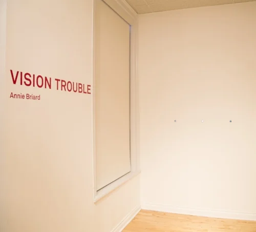 installation view