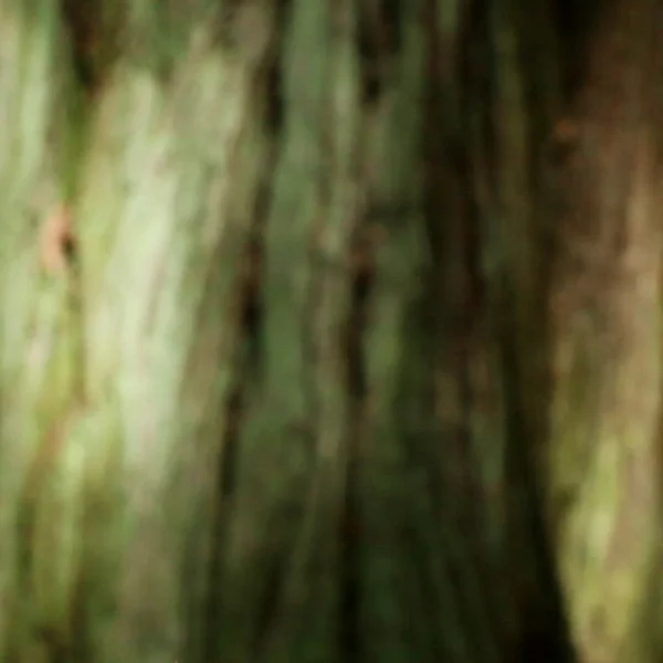 Moving image still