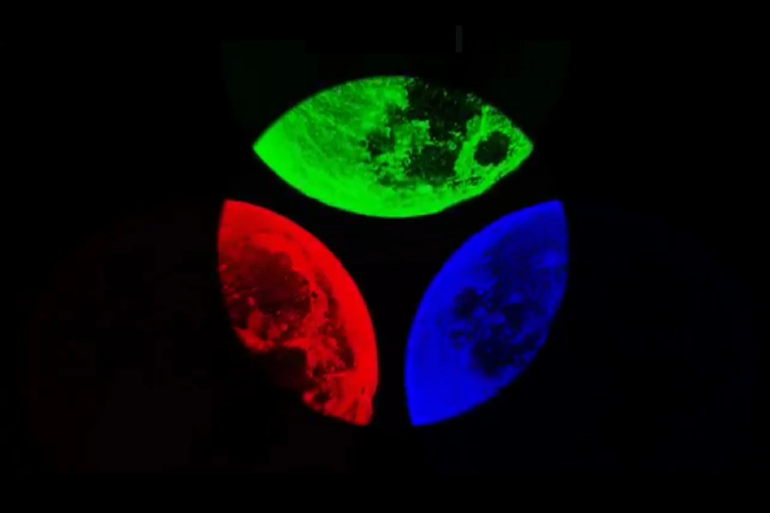 The Light of the Moon_2017.jpg