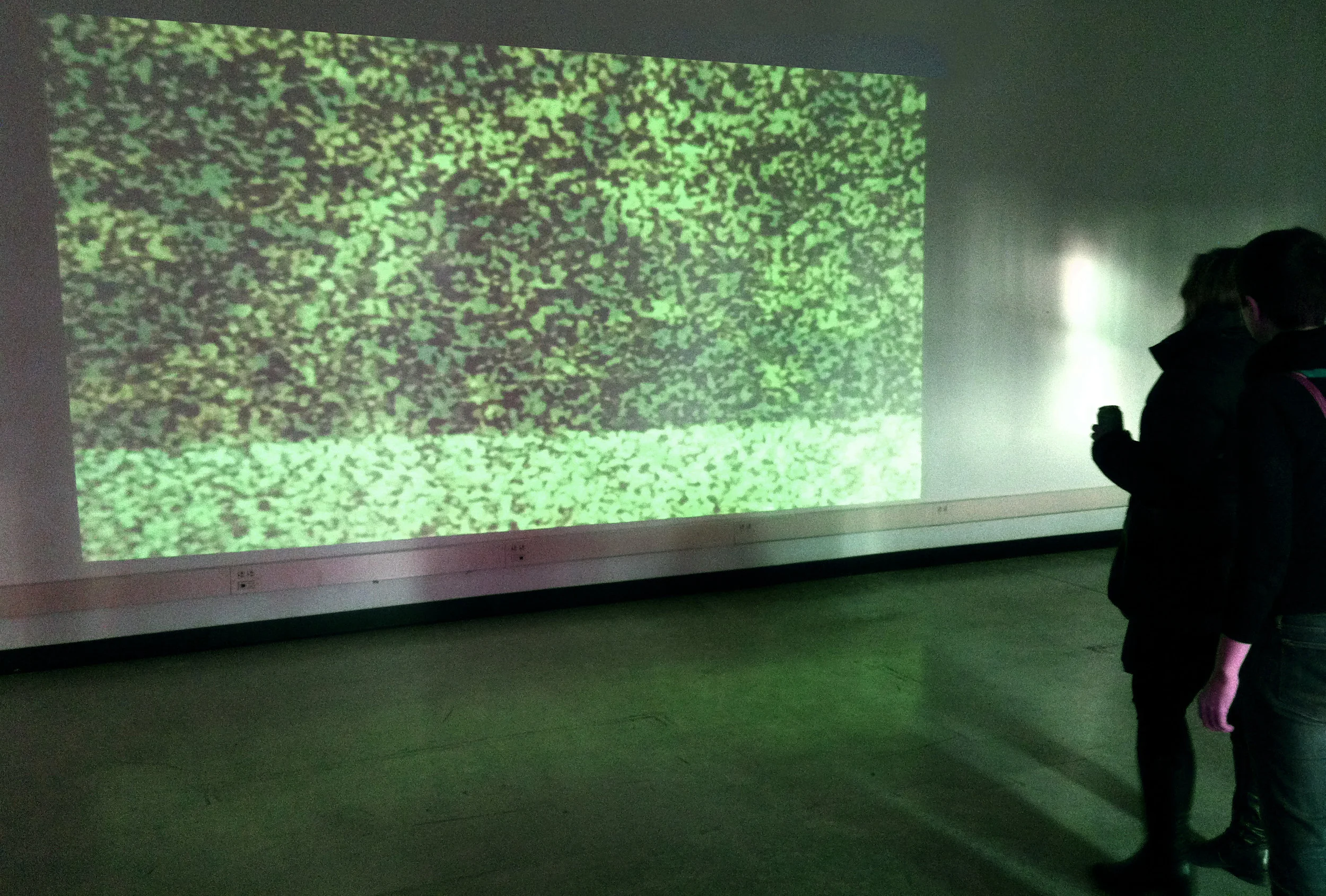 perceptual moment8_installationview.jpg