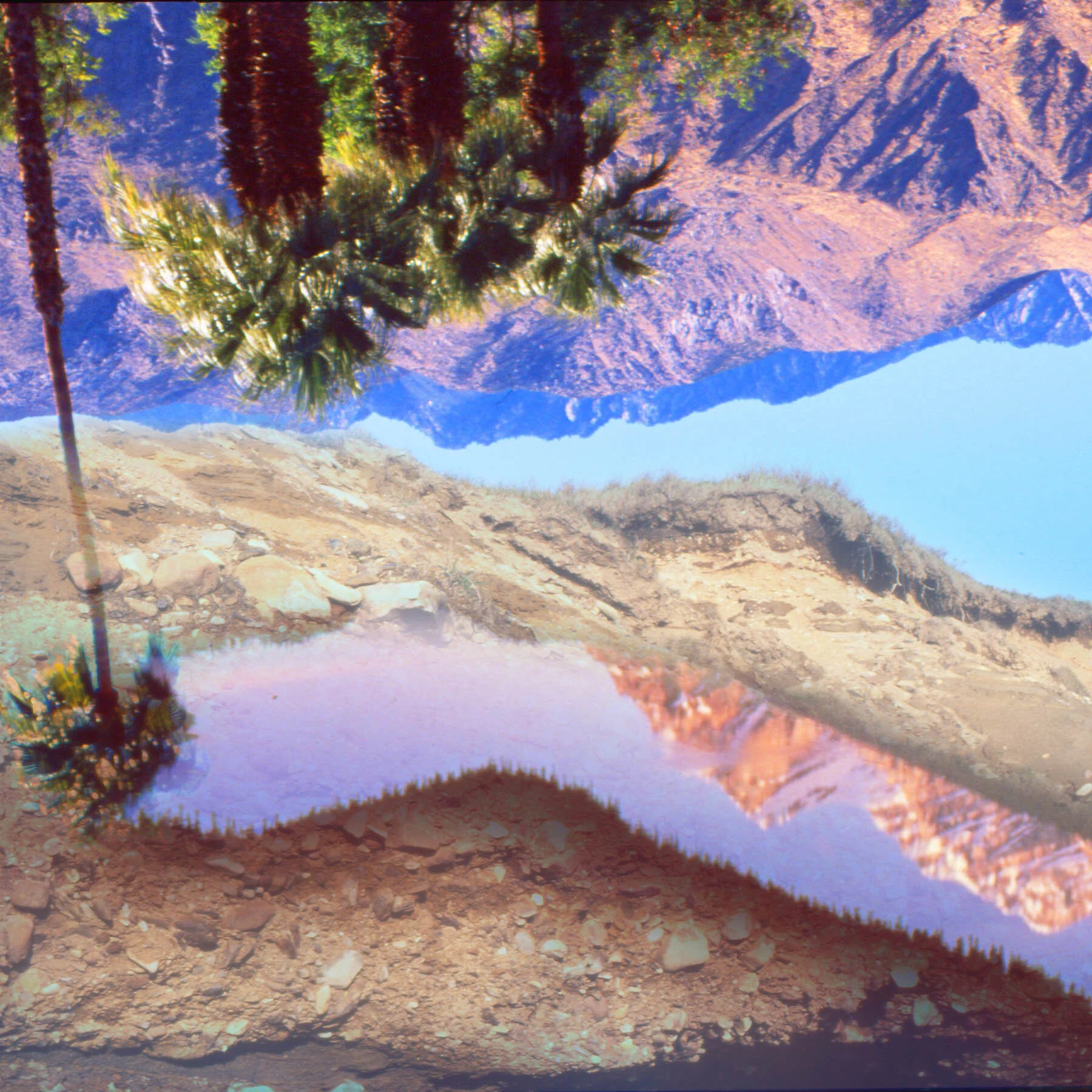 In Possible Lands IV