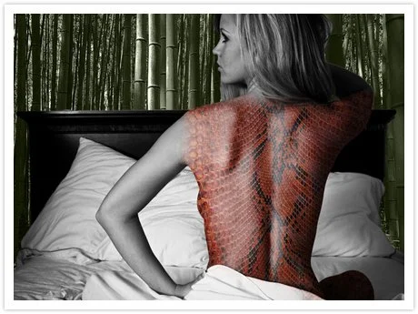 mosaicSlider-featured-image-lrg.jpg