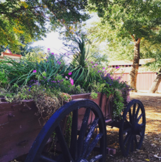 Screen Shot 2017-04-24 at 11.08.11 AM.png