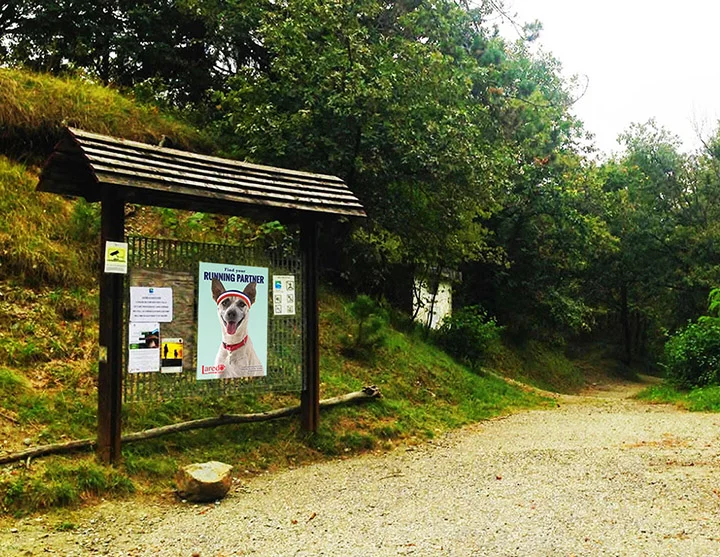 Trail Sign Mock-Up.jpg