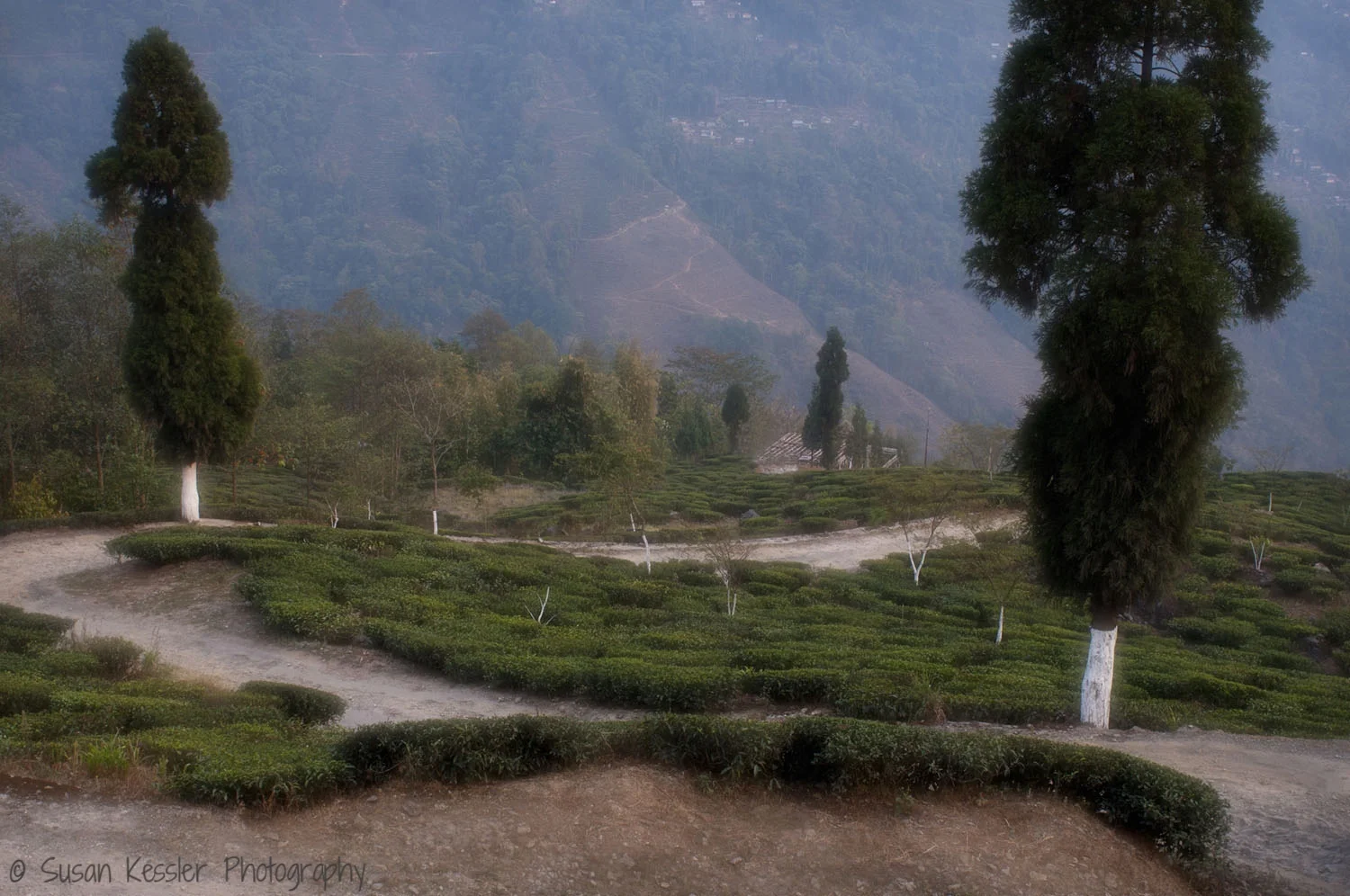 Winding Road