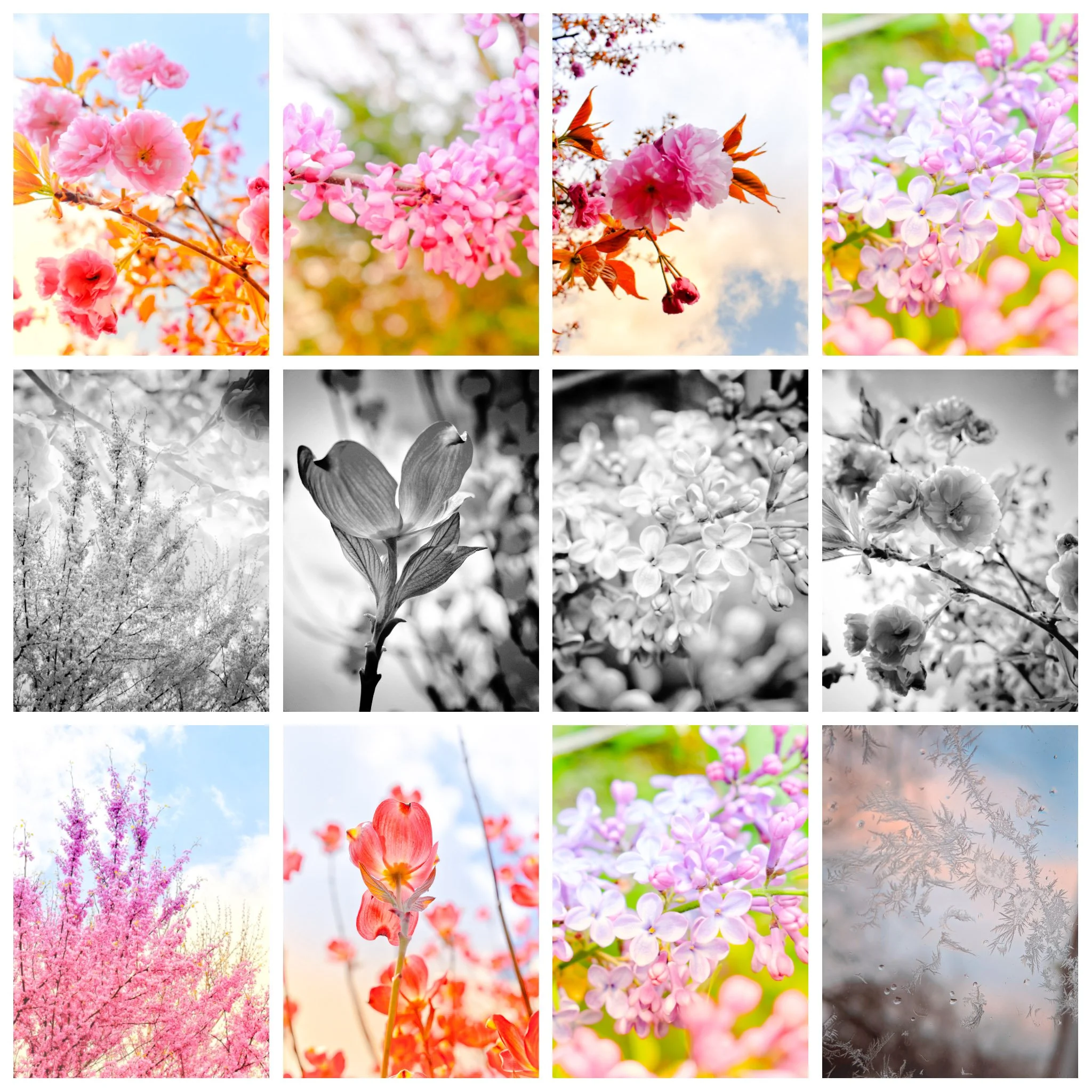 Michelle Keller | Waking Beauty | Instagram: @mkellerphoto and @michele.keller1