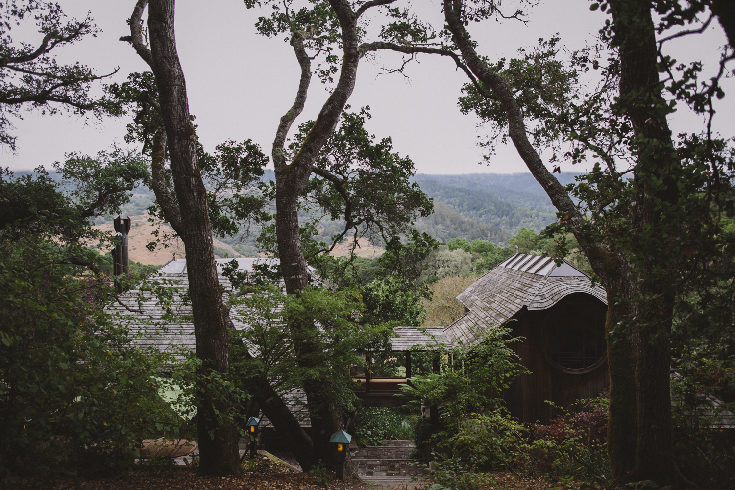 Bolinas West Marin Wedding Rachelle Derouin Photographer-2.jpg